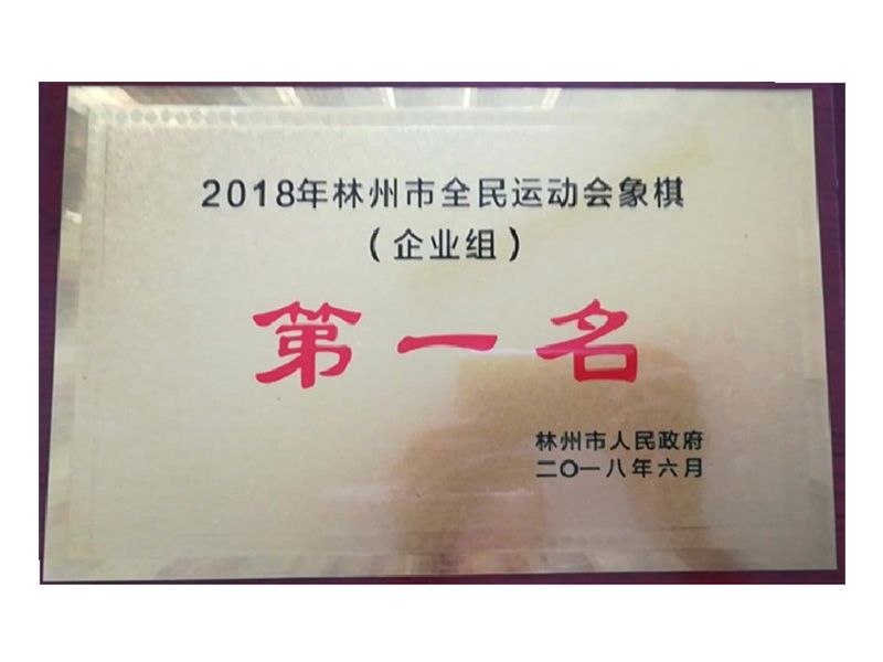 林州市全民 運(yùn)動會企業(yè)組象棋第 一名